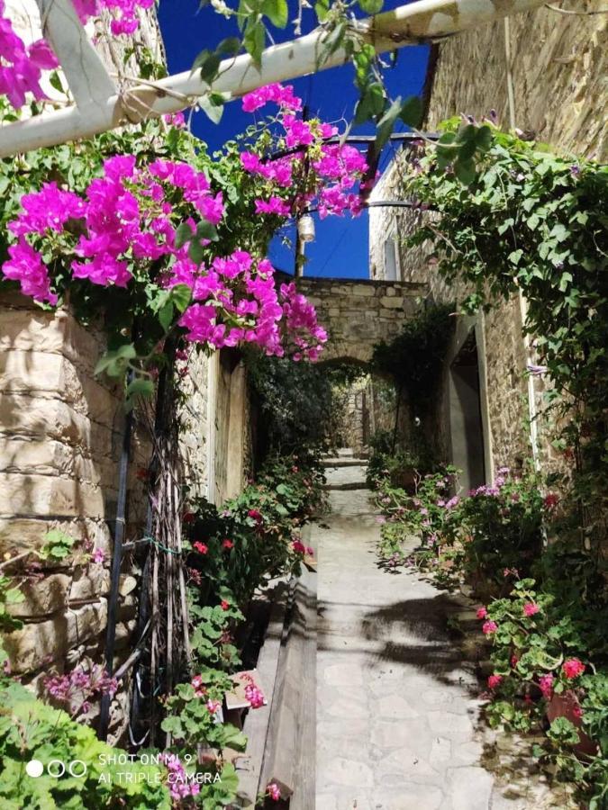 7Kamares Pension Pano Lefkara Buitenkant foto