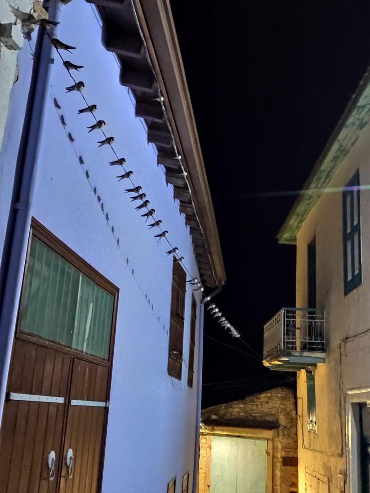7Kamares Pension Pano Lefkara Buitenkant foto