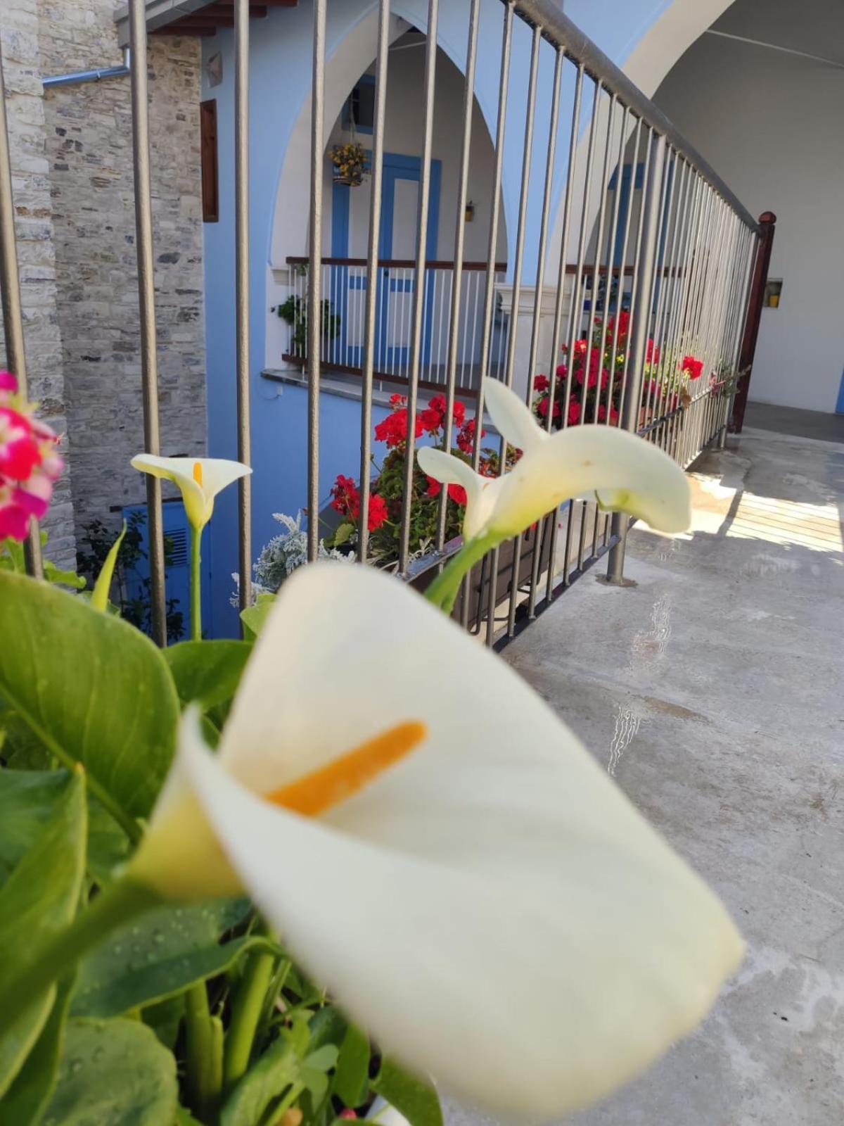 7Kamares Pension Pano Lefkara Buitenkant foto