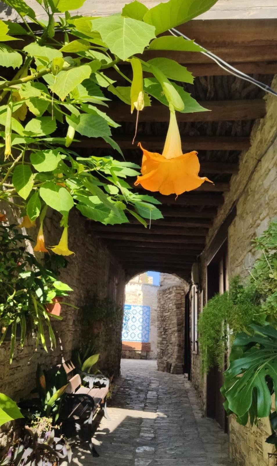 7Kamares Pension Pano Lefkara Buitenkant foto
