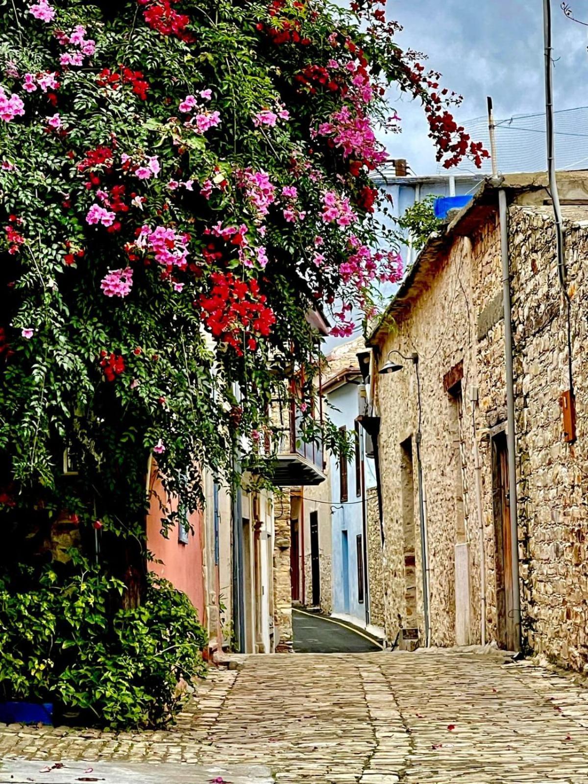 7Kamares Pension Pano Lefkara Buitenkant foto